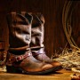 pic-2013-02-cowboyboots